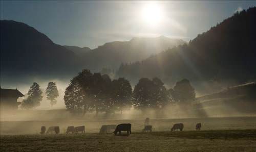 2013'ün en ilginç fotoğrafları