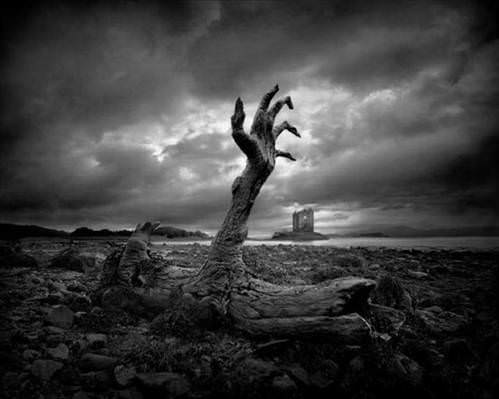 2013'ün en ilginç fotoğrafları