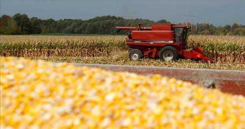 2013'ün en ilginç fotoğrafları