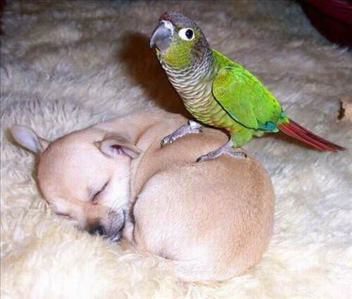 2013'ün en ilginç fotoğrafları