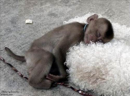 2013'ün en ilginç fotoğrafları