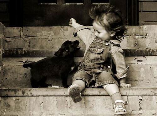 2013'ün en ilginç fotoğrafları