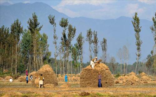 2013'ün en ilginç fotoğrafları