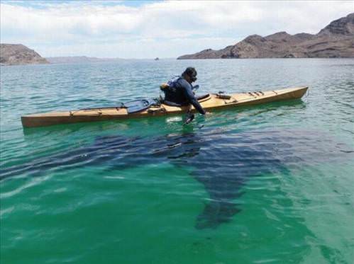 2013'ün en ilginç fotoğrafları