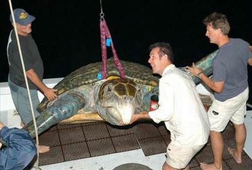 2013'ün en ilginç fotoğrafları