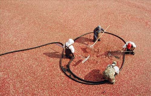 2013'ün en ilginç fotoğrafları