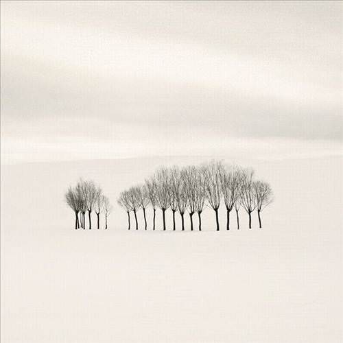 2013'ün en ilginç fotoğrafları