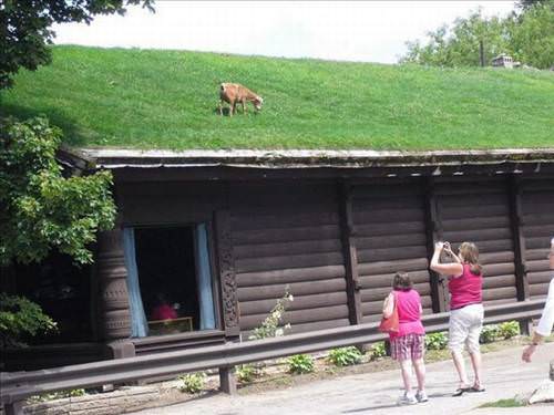 2013'ün en ilginç fotoğrafları