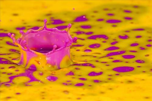 2013'ün en ilginç fotoğrafları