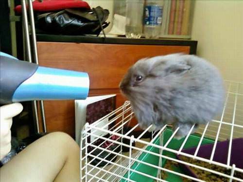 2013'ün en ilginç fotoğrafları