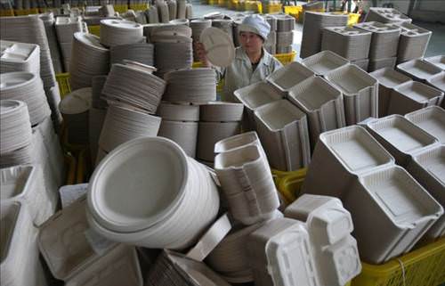 2013'ün en ilginç fotoğrafları