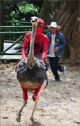 2013'ün en ilginç fotoğrafları