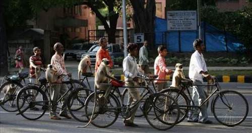 2013'ün en ilginç fotoğrafları