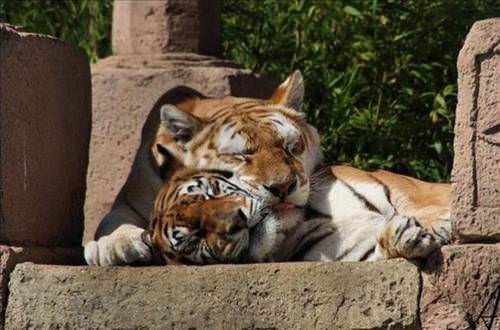 2013'ün en ilginç fotoğrafları