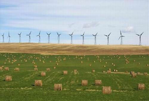 2013'ün en ilginç fotoğrafları