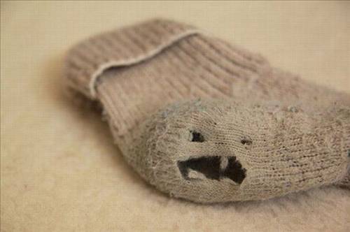 2013'ün en ilginç fotoğrafları