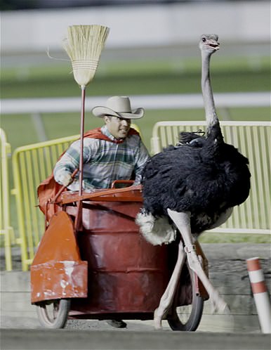 Sıra dışı sporlar