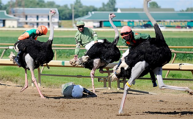 Sıra dışı sporlar