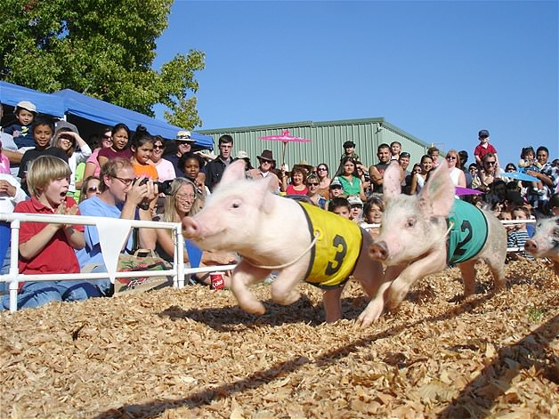 Sıra dışı sporlar