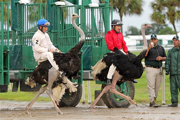 Sıra dışı sporlar
