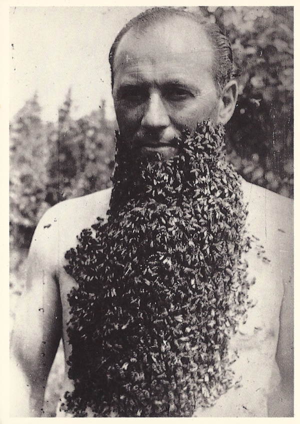 Yeni hobi arı sakalı