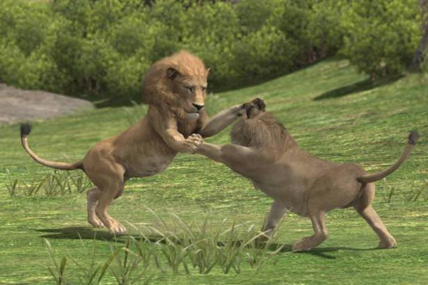 Böyle olur kralların kavgası