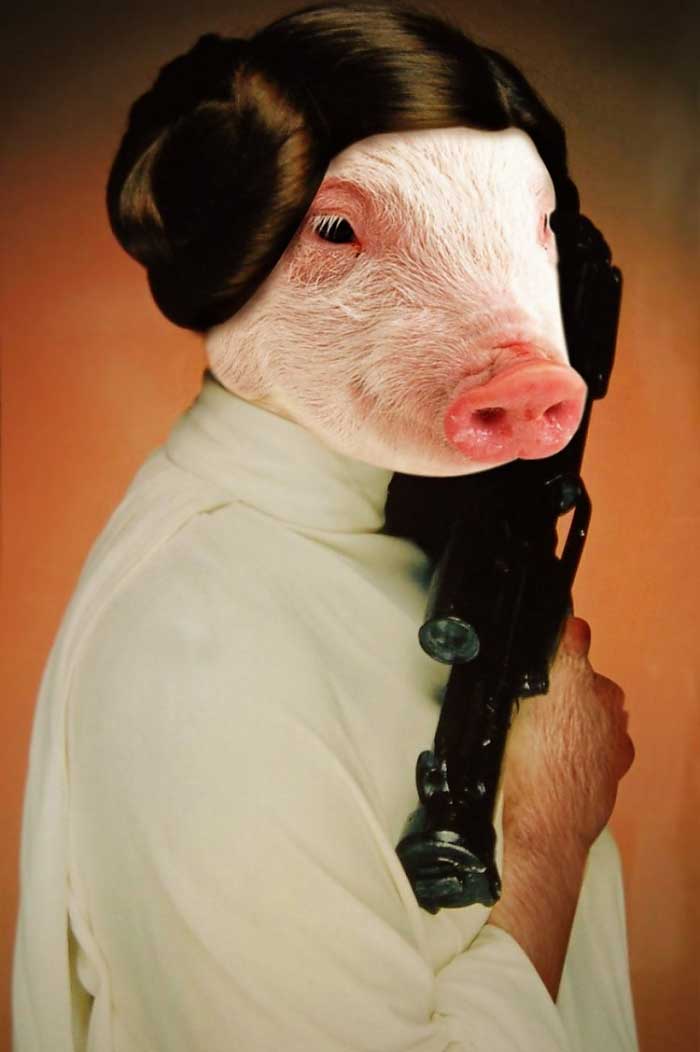 Star Wars Hollywood filmlerini ele geçirirse