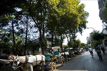 İstanbul'a yakın tatil yerleri