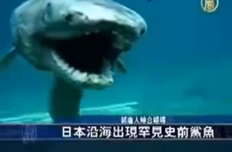 Okyanusun en garip canlıları