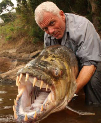 Okyanusun en garip canlıları