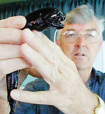 Okyanusun en garip canlıları