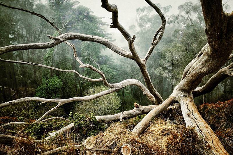 2014 iPhone fotoğraf ödülleri