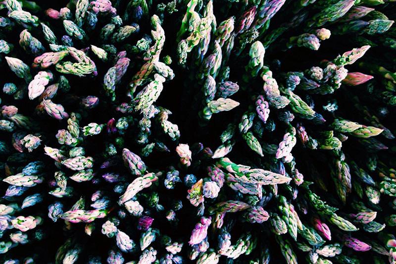 2014 iPhone fotoğraf ödülleri