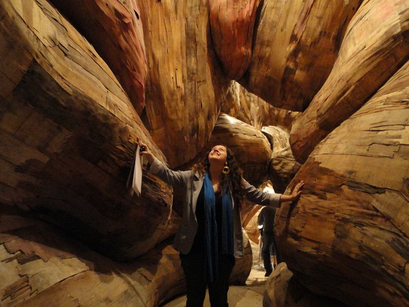 Henrique Oliveira'nın sıradışı sanatı