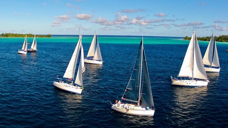 Uluslararası Drone Fotoğraf Ödülü'nü kazananlar
