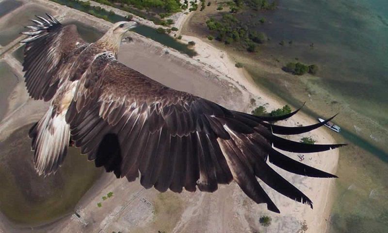 Uluslararası Drone Fotoğraf Ödülü'nü kazananlar