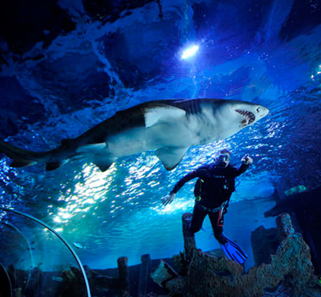 İşte denenebilecek adrenalin dolu o sporlar