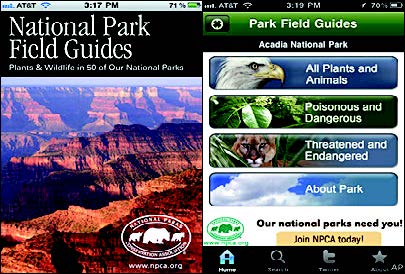 Kamp Ateşini Yakmadan Önce