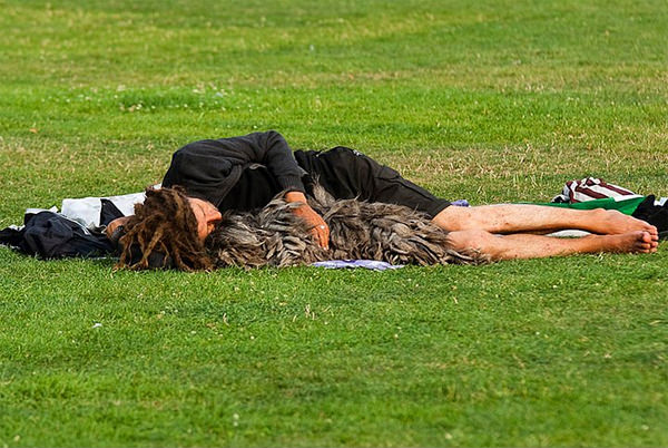 Dostluğun maddiyatla alakası olmadığını gösteren 15 harika köpek