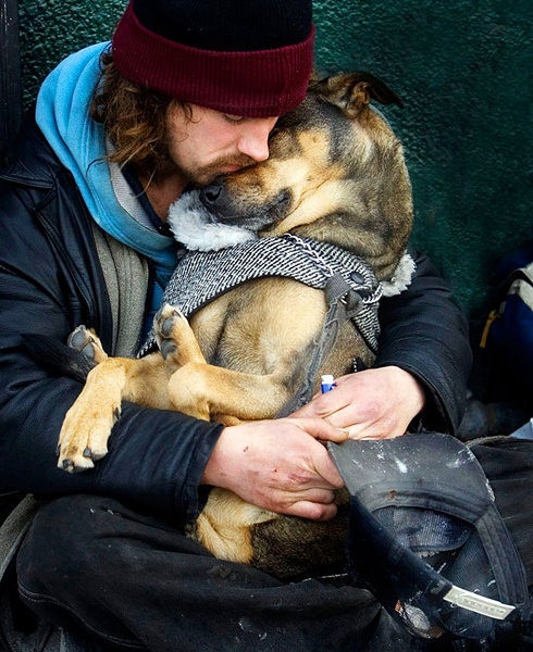 Dostluğun maddiyatla alakası olmadığını gösteren 15 harika köpek