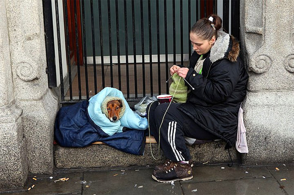 Dostluğun maddiyatla alakası olmadığını gösteren 15 harika köpek