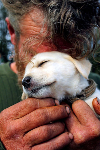 Dostluğun maddiyatla alakası olmadığını gösteren 15 harika köpek