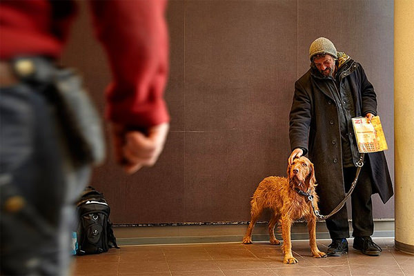 Dostluğun maddiyatla alakası olmadığını gösteren 15 harika köpek