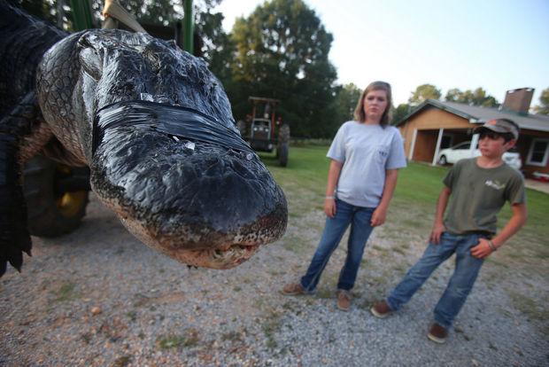 Dünyanın en büyük timsahı bulundu