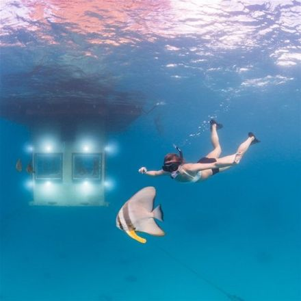 Denizin ortasına bunu yaptılar