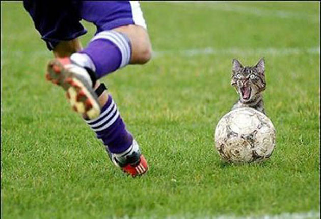 İşte efsane spor kareleri