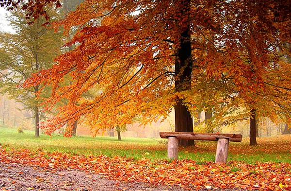 Detaylarda gizlenen şıklık