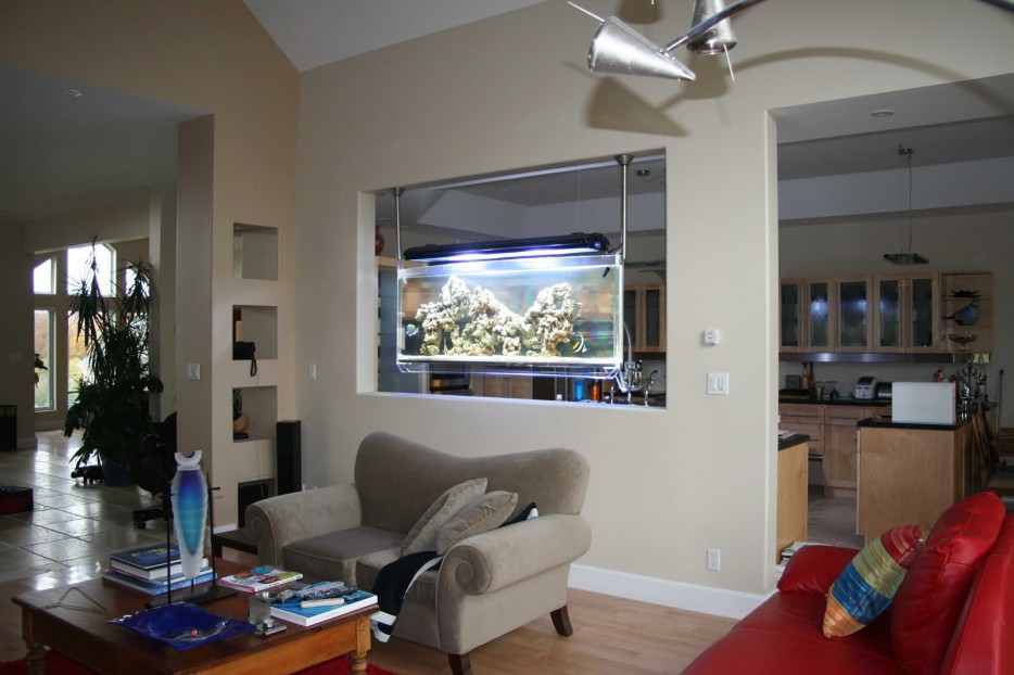 Balıkların renklendirdiği evler