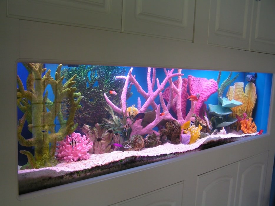 Balıkların renklendirdiği evler