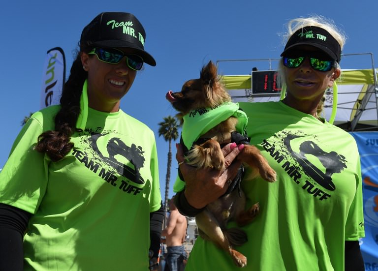 Sörf tutkunu köpekler buluştu